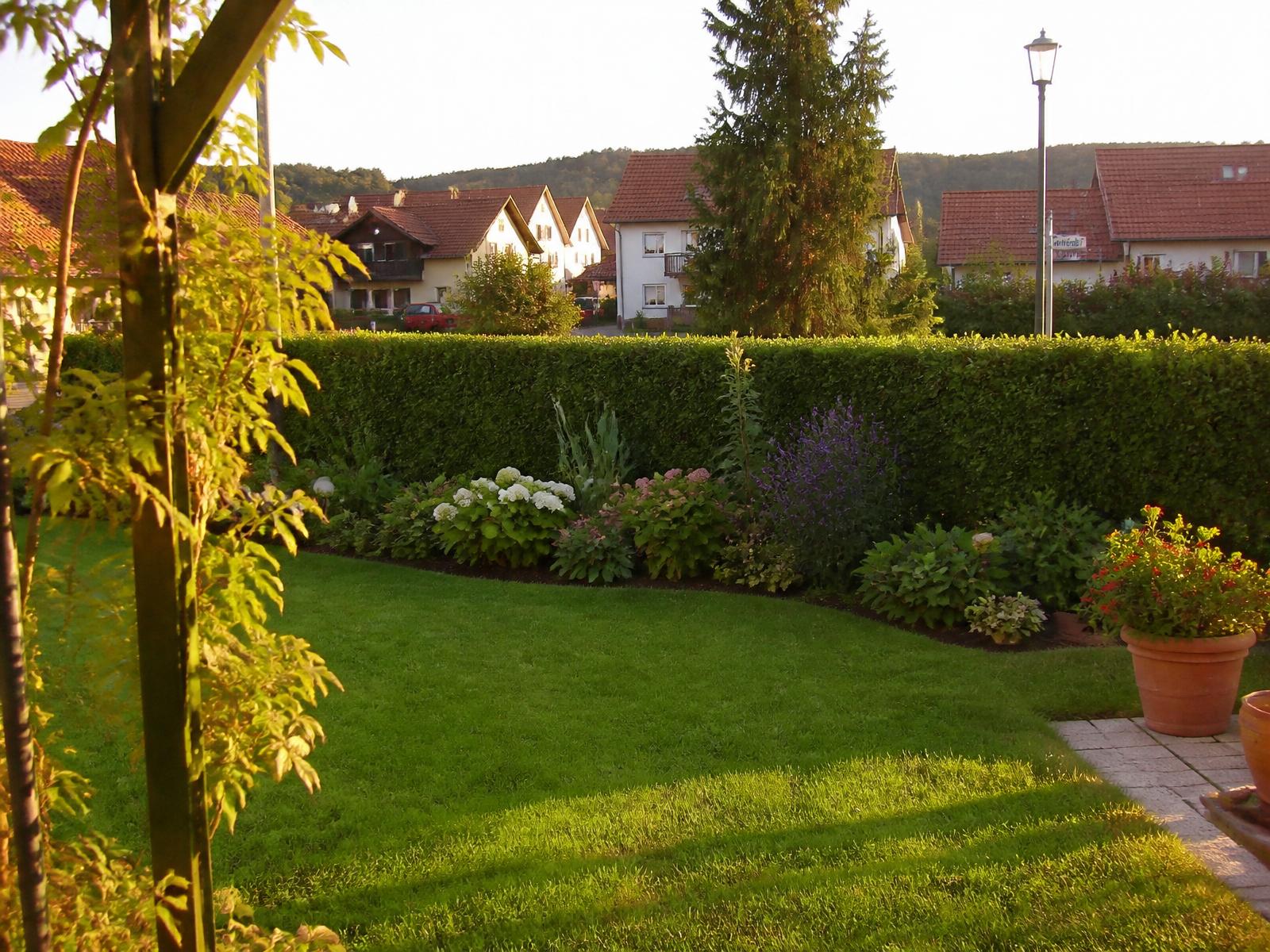 Gepflegter Privatgarten mit frisch gemähtem Rasen und geschnittener Hecke in Stolberg